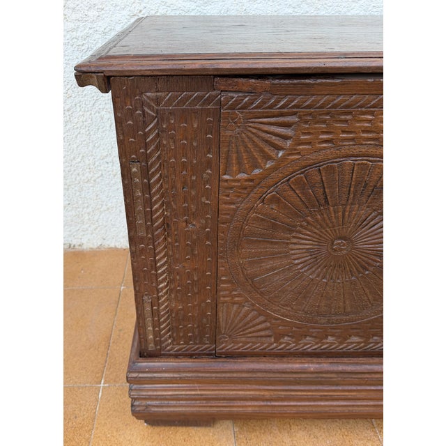 Spanish Carved Wooden Chest with Geometric and Floral Motifs, 1840 For Sale - Image 4 of 13