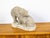 A Continental terracotta sculpture from the mid 20th century, depicting two bears on a base. Created during the midcentury...