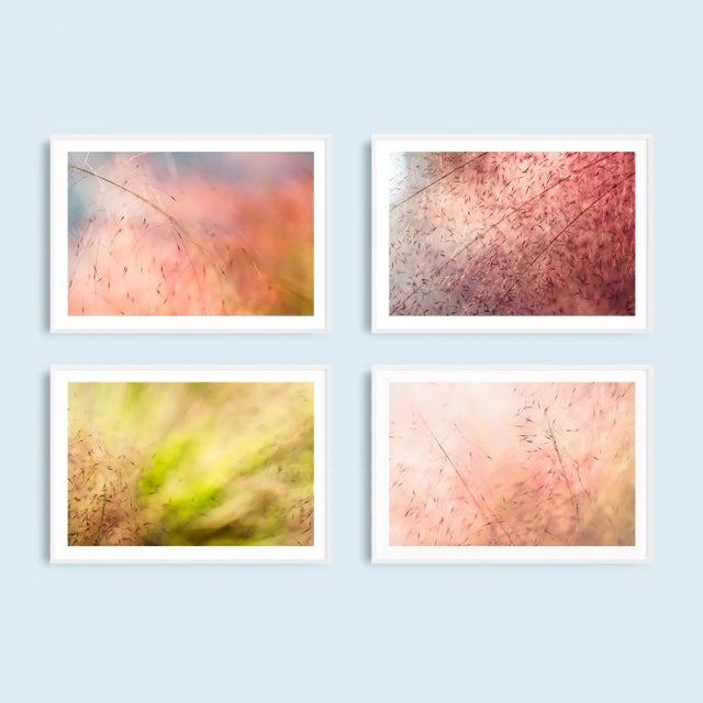 Contemporary 'In the Pink' Set of Botanical Photographs, Series of Four 45 X 30" Fine Art Photography Prints For Sale - Image 3 of 15