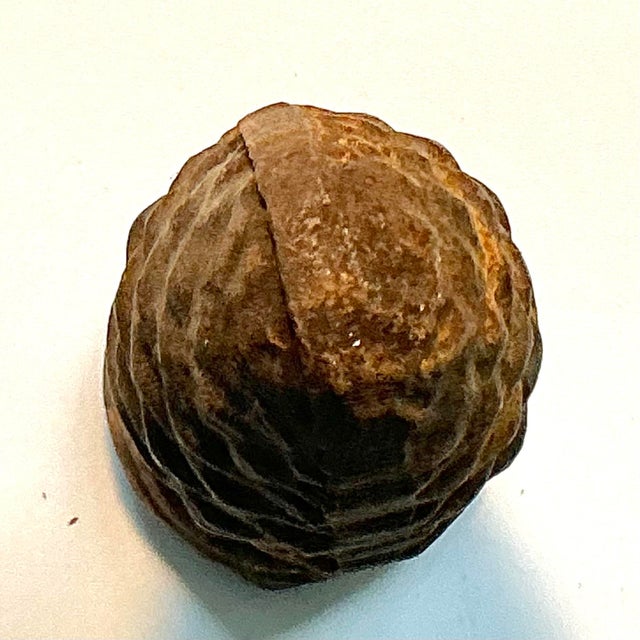 Architectural Pine Cone Ornament in Cast Iron, 1930s For Sale - Image 3 of 5