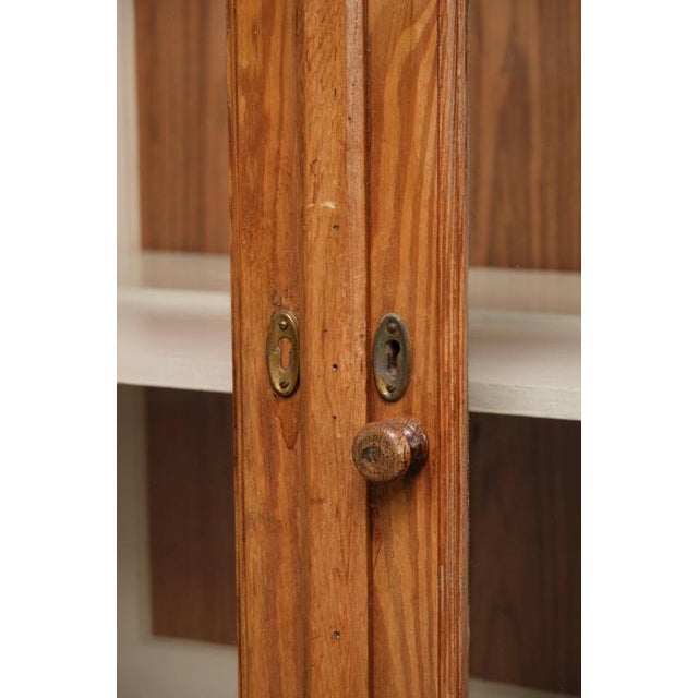 Vintage Museum Cabinet with Doors and Removable Shelves For Sale - Image 11 of 16