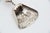 Silver Sugar Shovel with Cutouts and Reliefs For Sale - Image 3 of 5