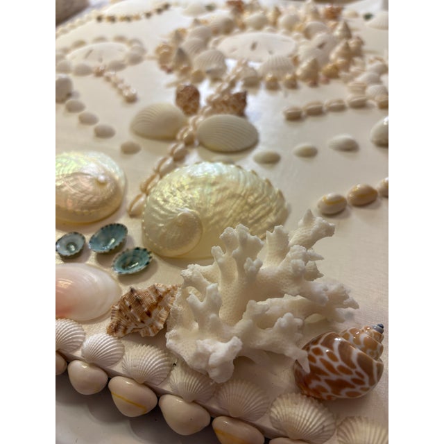 A shell wall panel piece composed of real seashells, sand dollars, coral, and luminous natural mother-of-pearl. Three sand...