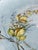 Ceramic 19th Century Porcelain Fruit Bowl, Germany For Sale - Image 7 of 15