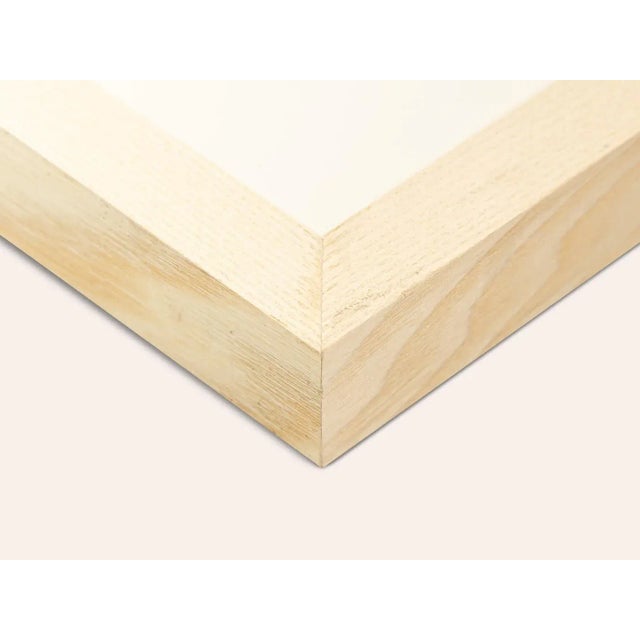 Israel Fly Two by David Klein, 1960s For Sale - Image 15 of 17