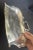 Antique Art Nouveau Silver Crumb Tray For Sale In Los Angeles - Image 6 of 8