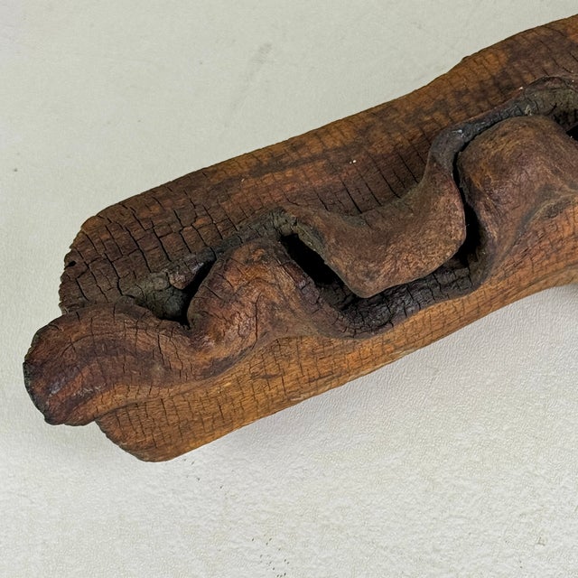 Early 20th Century Vintage Natural Wood Log Specimen With Unusual Growth Development, Sculpture For Sale - Image 5 of 8