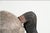 Antique Carved and Painted Wooden Rocking Horse For Sale - Image 12 of 16