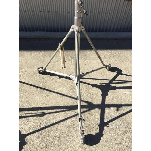 Bardwell & McAlister Senior Spotlights A Pair Chairish