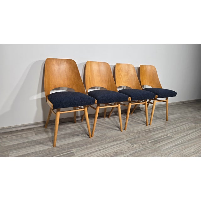 Dining Chairs by Radomir Hoffman for Ton, 1950s, Set of 4 For Sale - Image 9 of 15