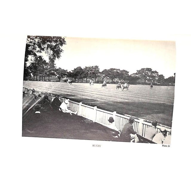 "Polo" 1936 the Earl of Kimberley For Sale - Image 12 of 12