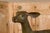Continental 1930s Life Size Bronze Sculpture of a Deer Standing on its Four Legs For Sale - Image 11 of 12