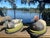 Early 20th Century Hand-Carved Duck Decoy Lamps With Custom Ticking Stripe Shades – Pair For Sale - Image 10 of 17