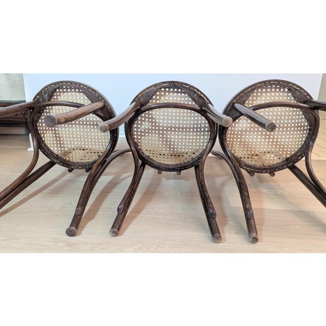 1960s Sweetheart Bentwood & Cane Chairs by ZPM Radomsko for Thonet For Sale - Image 11 of 14