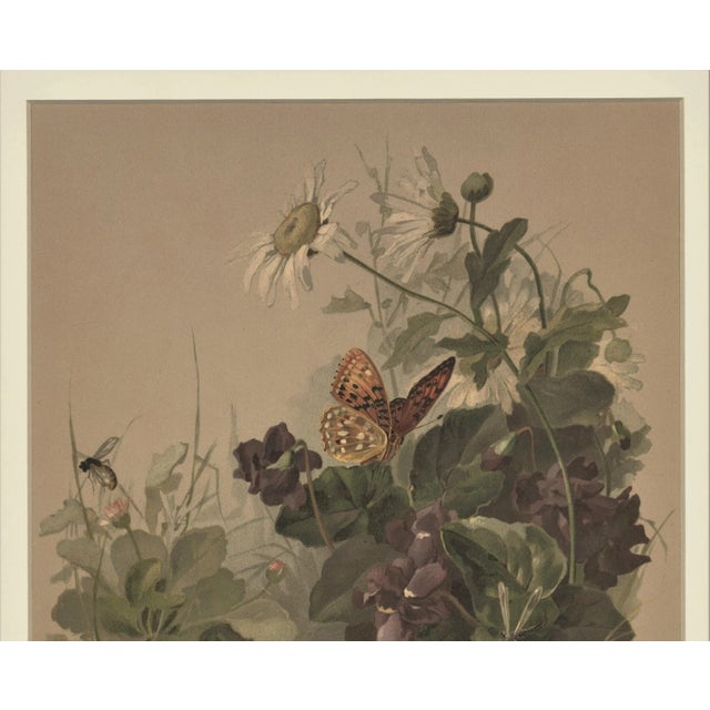 RARE beauty! Hard to find! This is an original matted French antique botanical chromolithograph that dates to the 1880s....