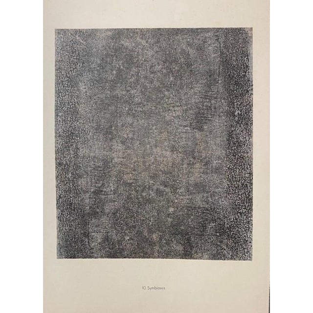 Symbioses is an original B/W lithograph on watermarked paper "Arc". Abstract composition by the French artist Jean...