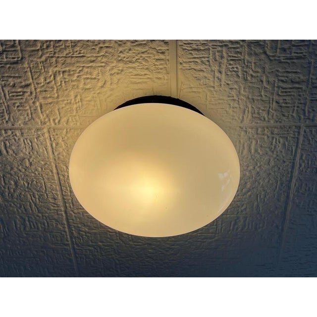 Design Midcentury Wall or Ceiling Lamps, Flushmounts, 1970s, Set of 2 For Sale - Image 6 of 7