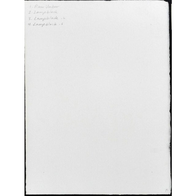 "Botanica III" is a black & white gum-dichromate print. This photography process goes back to the 1850. In brief, hand...