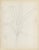Grace Spongberg (American, 1906-1992) "Banana" drawing on paper, titled and estate stamp on reverse. Grace Spongberg grew...