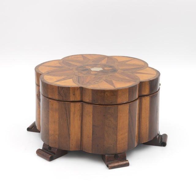 English Specimen Wood Box in the Form of a Lotus Flower, English Circa 1850 For Sale - Image 3 of 10