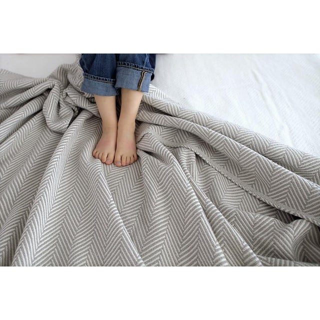 Contemporary Natural Herringbone King Blanket Chairish