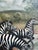 Late 20th Century Vintage Zebra Landscape Oil Painting For Sale - Image 5 of 18
