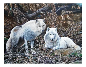 Twilight of the Wolves, 2018