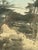 Vintage Framed Tinted Coastal Landscape Photograph of Cypress Trees on Rocky Shoreline. For Sale - Image 9 of 10