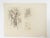 Small pencil on paper study of North African man and donkey by George Baer (1895-1971). Unframed. Unsigned, from the...
