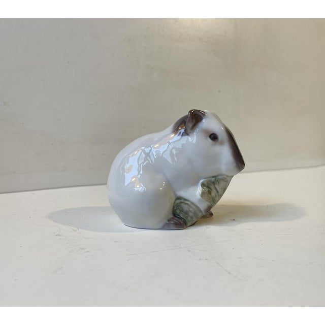Naturalistically glazed Guinea Pig in porcelain by Bing & Grondahl in Denmark. Based upon a antique dessin this particular...