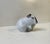 Naturalistically glazed Guinea Pig in porcelain by Bing & Grondahl in Denmark. Based upon a antique dessin this particular...