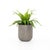 2020s Four Hands Ivan Round Planter - Grey Concrete For Sale - Image 5 of 9