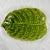 De Sarreguemines Sarreguemines Green Majolica Glazed Fern Leaf Shaped Server, France 1870 For Sale - Image 4 of 9