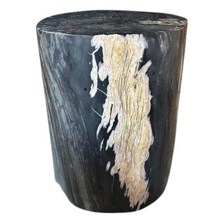 Andrianna Shamaris Exquisite High Quality Petrified Wood Side Table For Sale