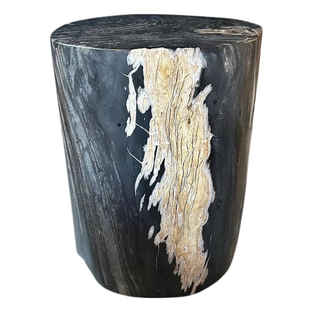 Andrianna Shamaris Exquisite High Quality Petrified Wood Side Table For Sale