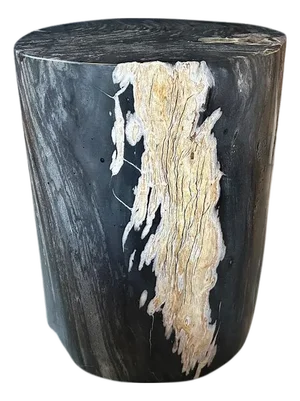 Andrianna Shamaris Exquisite High Quality Petrified Wood Side Table