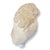 Mid 20th Century Vintage Italian Sculpture Fiber Glass Torso For Sale - Image 5 of 7