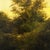 Evening (Ode to H. D. Martin) by Shawn Krueger | Oil on panel Landscape with trees at dusk For Sale