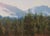 Early 21st Century Meadow in the Rockies by Lorenzo Chavez | Pastel Landscape of mountains and forested meadow For Sale - Image 5 of 5
