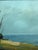 Mid-Century Modern 'Red Cabin by the Shore' Swedish Landscape Oil Painting, Framed For Sale - Image 11 of 13