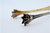 Silver Claws-Shaped Gold-Plated Silver Ice Tongs with Reliefs For Sale - Image 8 of 10