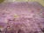 1920s Purple Chinese Art Deco Carpet ( 14' x 15'4" - 426 x 467 cm )