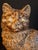 American Antique Cast Iron Seated Cat Doorstop Vintage Orange Painted Feline Figure 4lb For Sale - Image 3 of 18
