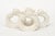 1950s Vintage Coastal Porcelain Seahorse Napkin Rings, 1950's, Set of Six For Sale - Image 5 of 10