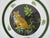 Boho Chic Lynn Chase Sitting Left Jaguar Jungle Cat Glass 8 1/4" Salad Plate Set of 2 For Sale - Image 3 of 12