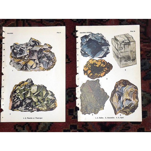 Authentic Antique 1916 Mineral Lithographs - Set of 12 For Sale In Cincinnati - Image 6 of 8