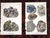 Authentic Antique 1916 Mineral Lithographs - Set of 12 For Sale In Cincinnati - Image 6 of 8