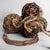 Japanese Ukidama Glass Fishing Floats, 1950s, Set of 5 For Sale - Image 13 of 18