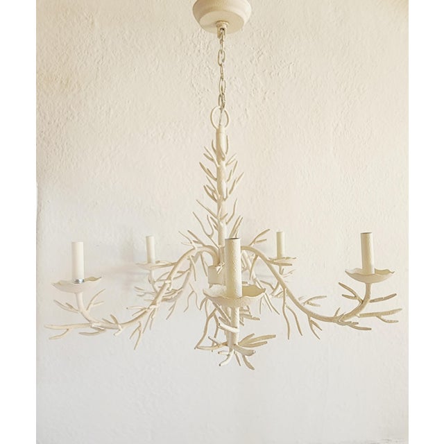 Nautical Coral Motif Five Lights Chandelier For Sale - Image 3 of 12