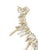 Vintage Natural African White Coral Trade Beads /Currency /Necklace 49 Pieces For Sale - Image 10 of 12